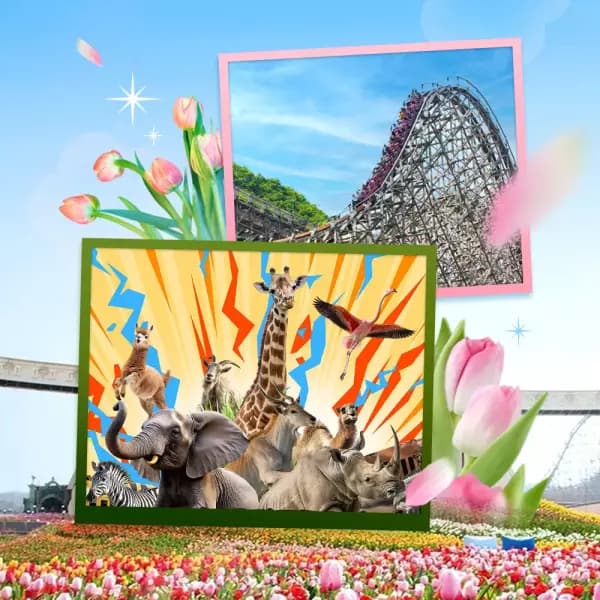 10분러시 에버랜드 36900원 (5/31일까지)