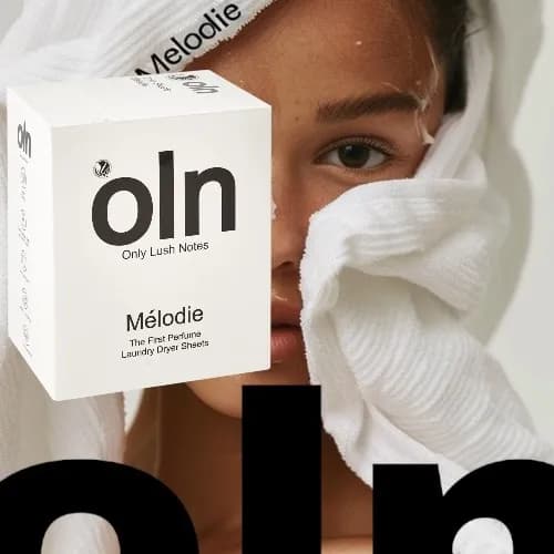 oln 올른 건조기시트 1+1 100매 24900원(쇼핑패스 18900원)