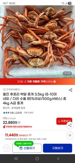 박달홍게 4kg(8-10미) 22,880원 무배