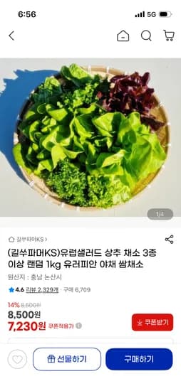 유럽 샐러드 채소 1kg 7,230원