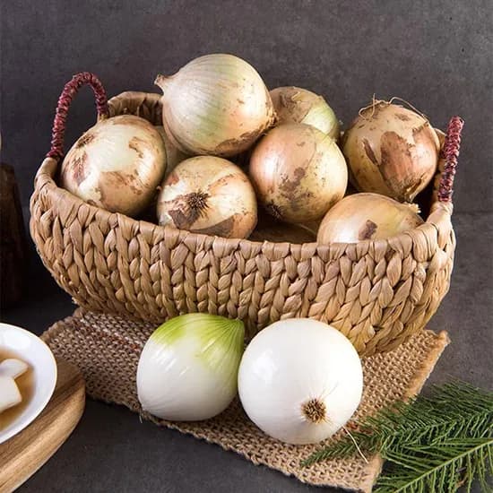 햇정읍 양파 특,대 혼합 5kg 6,720원