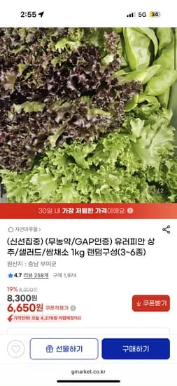 유러피안 상추/샐러드/쌈채소 1kg 랜덤구성(3~6종) 6,650원