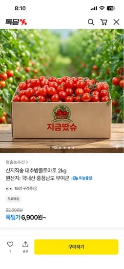 산지직송 대추방울토마토 1kg 6,900원~