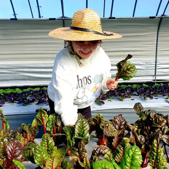 신선 쌈채소5종 500g 4,900원