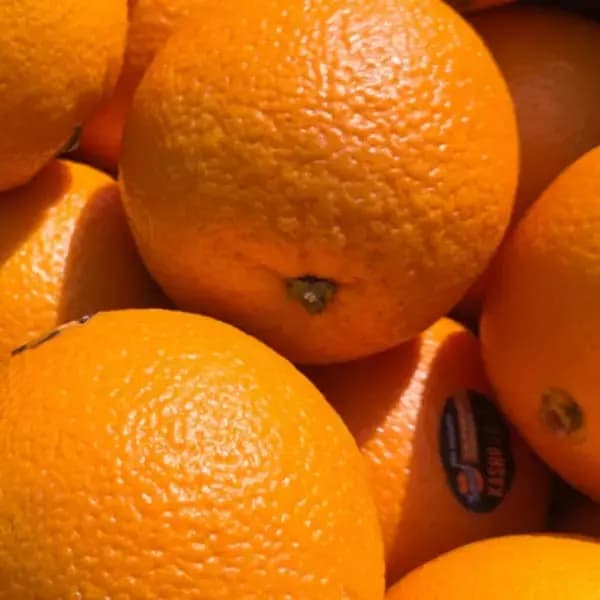 썬키스트 퓨어스펙 블랙라벨 오렌지 중대과 3kg 15과내외 13,410원 무배