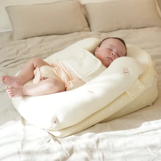 엔젤앤비 말띠에디션 역류방지쿠션