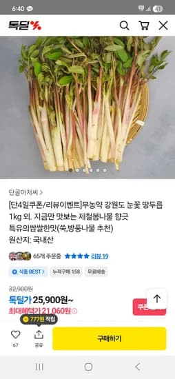 무농약 강원도 눈꽃 땅두릅 1kg