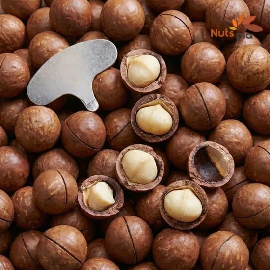 통 마카다미아 1kg