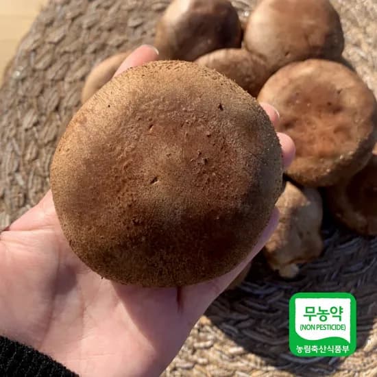 무농약 표고버섯 벌크 1kg 4310 무배