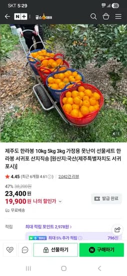 귤스데이 가정용 한라봉 5kg