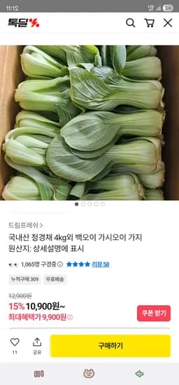 국내산 청경채 2kg 6,900원 / 4kg 9,900원 무배
