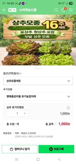 상추모종 16개 세트 배송비만 내면 무료배송 4,000원
