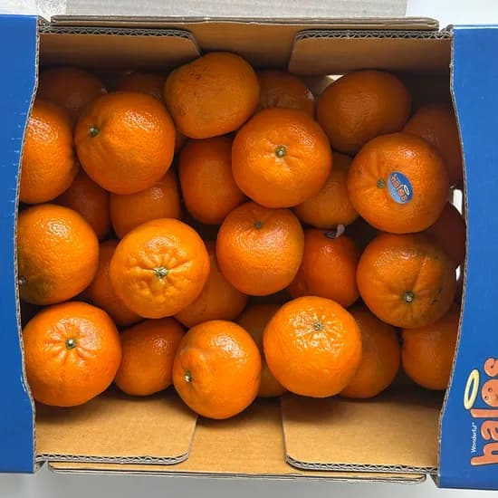 할로스 캘리포니아 고당도 만다린