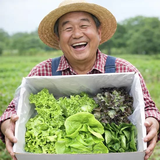 밥상세끼 유러피안 샐러드 800g 6,380원 무배