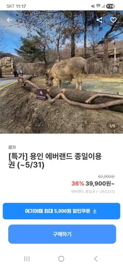 에버랜드 종일권 39,900원~