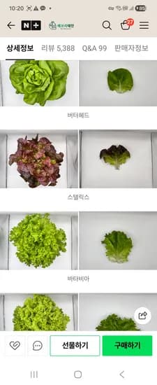 스타팜스 유럽 샐러드 진짜 싱싱해요 6종1kg 7,900원 무배