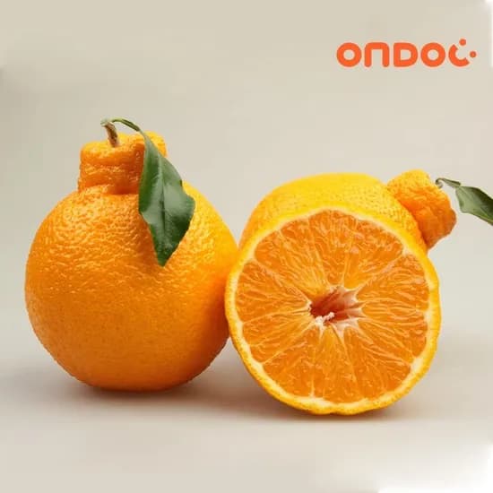 롯데백화점 제주 고당도 한라봉 4.5kg 소과 (24-35과내외) 26,510원