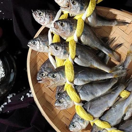 굴비 역거리 20미 16~18cm 1kg 10,500원