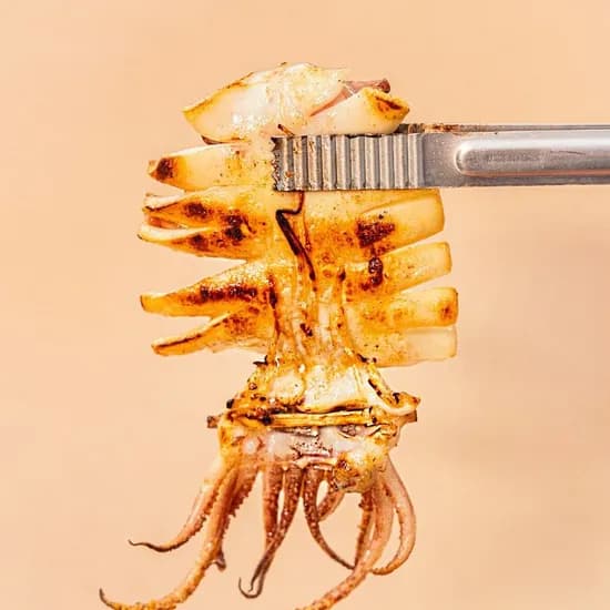 피데기 반건조 오징어 5미 11710원 무배