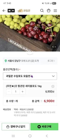 과일꾼 포도모음전 세이블포도 1kg 6,900원 네멤무배