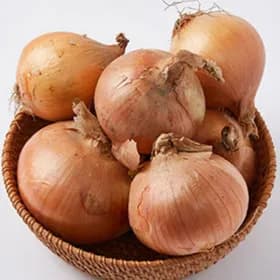 단단한 만생종 양파10kg 중/대 사이즈 9,290원