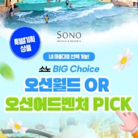 소노 오션 이용권 22,800원