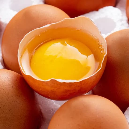 더싱싱 난각번호 1번 무항생제 유정란 40구 선착순 쿠폰 13,860원