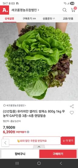 무농약 유러피안 샐러드 1kg 6,800원 무배