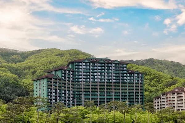 소노캄 비발디파크 숙박권 카할+M포인트 145,800원~