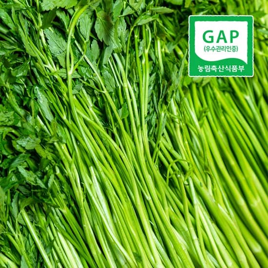 바잘농산물 나주 노안 돌미나리 햇 세척 미나리 1kg 10,900원