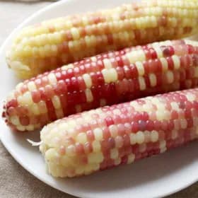 탱글탱글 홍찰 냉동 삶은 찰옥수수 40개(10~12cm내외) 24900원