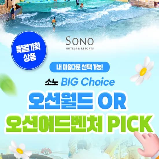 소노 오션월드 빅초이스 입장권 홍천 천안 거제 택1