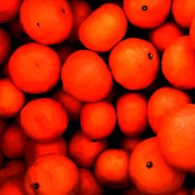 카라향 중과 3kg 13,800원 무배