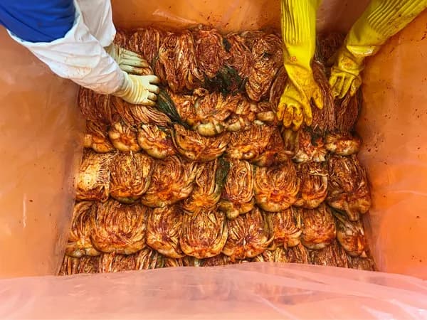 리얼농산 국내산 전라도식 양념 묵은지 김치 1.5kg 9400원