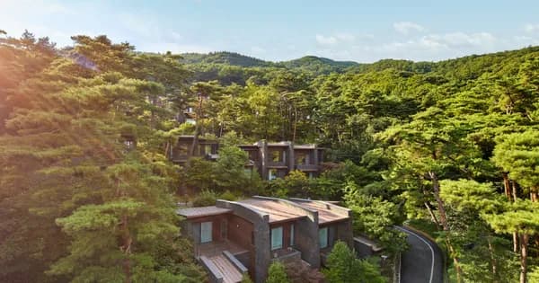 스플라스 리솜 조식 패키지 223,896원~