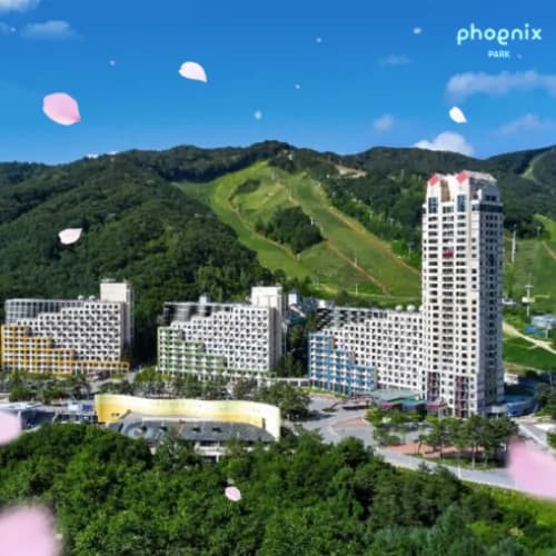 휘닉스파크 객실1박+액티비티 택1 87,470원