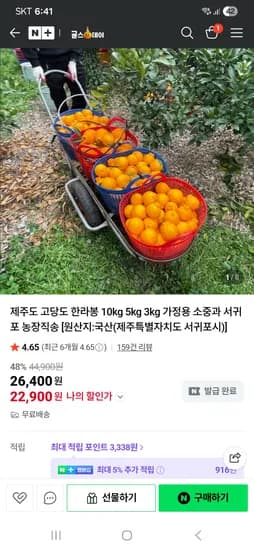 귤스데이 제주도 고당도 한라봉 소중과 5kg