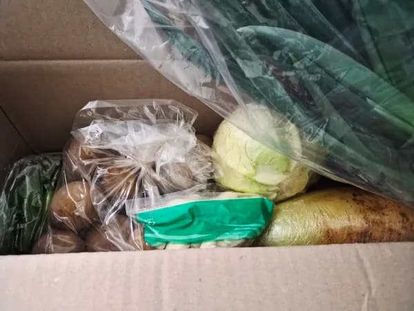 천원의 행복 유배 / 실사있음