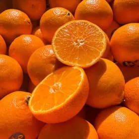 고당도 만다린 달콤 감귤 2kg 20과내외 19,900원