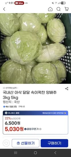 제주 양배추 3kg 유클가 5,030원 무배