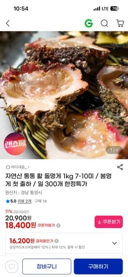 자연산 활 돌멍게 1kg 7-10미 18,400원