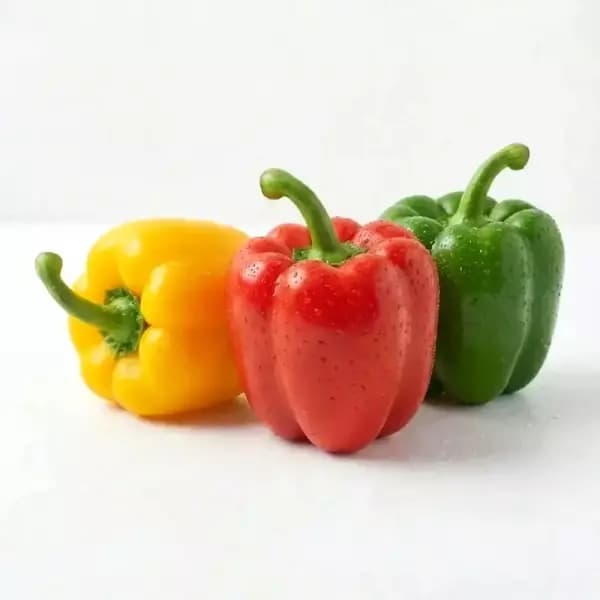 국내산 못난이 파프리카 빨강/노랑/초록 혼합 1kg 7,590원