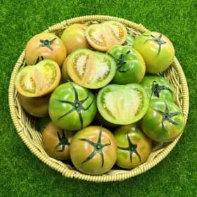 부산 고당도 대저 토마토 2.5kg 혼합과 9,680원