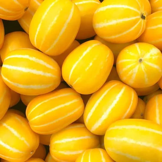 성주 꿀참외 5kg (혼합과) 22,890원 무배