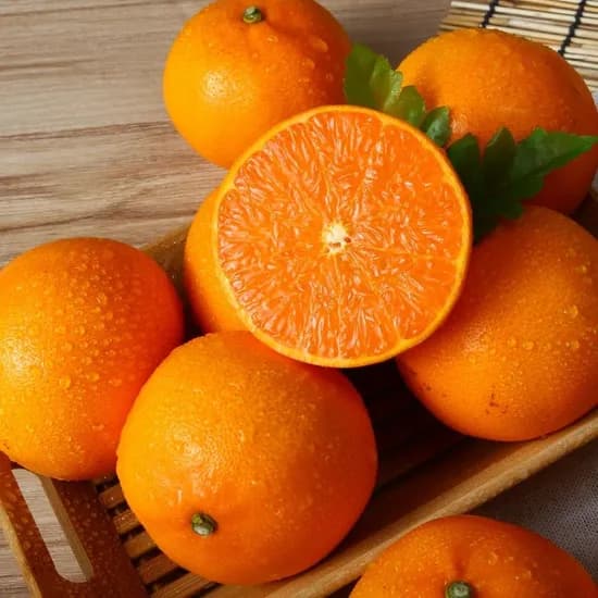 13brix 당도선별 천혜향 4kg 15,690원 핫딜이요!!