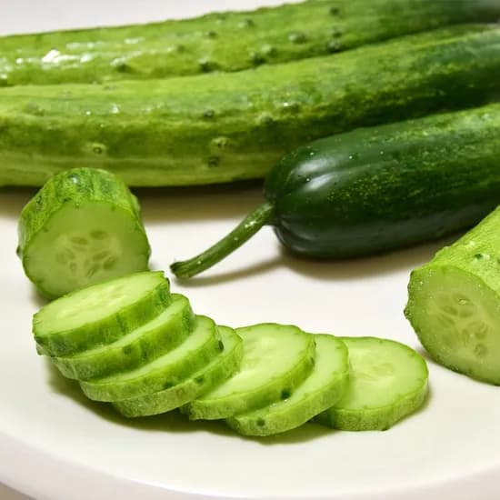 당일수확 국내산 백다다기 오이 정품 2kg 8,780원 무배