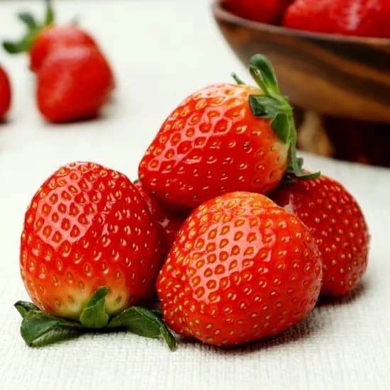 청원생명 딸기 1kg 35개 10,950원