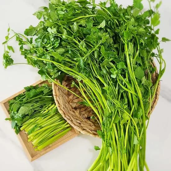 세척 논미나리 1kg 7,920원