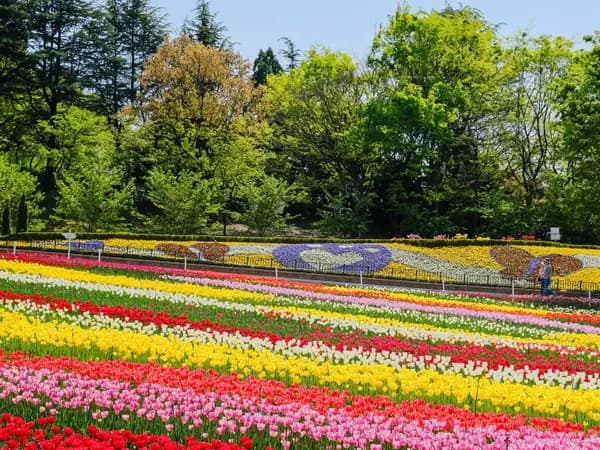 4월2일 11시 대구이월드 연간회원권 98900 원