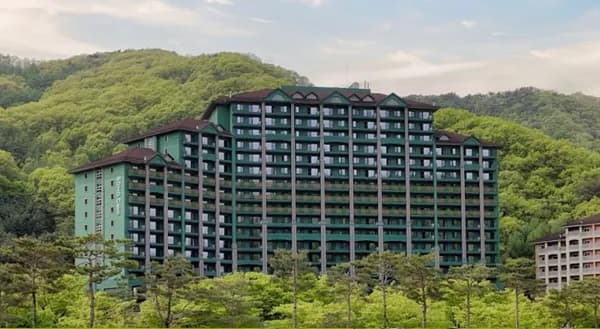 소노캄 비발디파크 객실 오션월드 앤트월드 사우나 액티비티